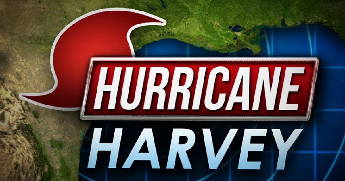 harvey