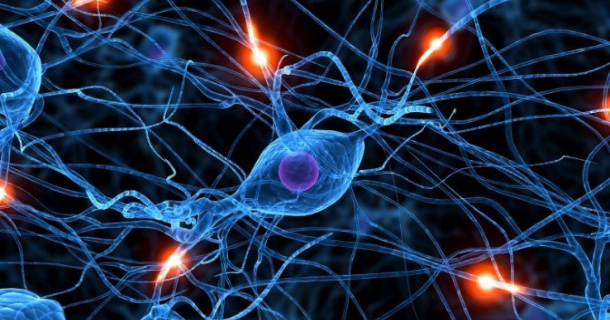 neurona-e1436481212882-672×5
