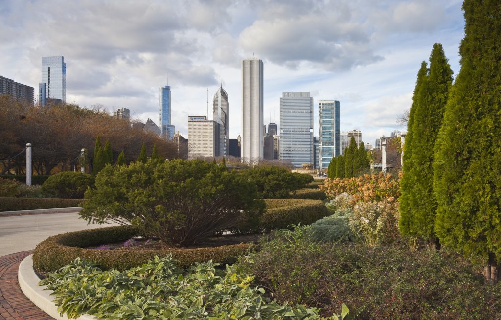 October 2026 Chicago Advanced Cadaver Course presented by AIA
